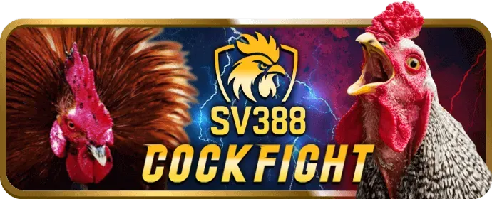 G6BET và cam kết cá cược có trách nhiệm